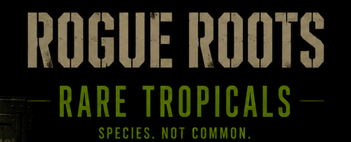 Rogue Roots
